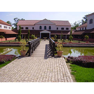 Villa Borg